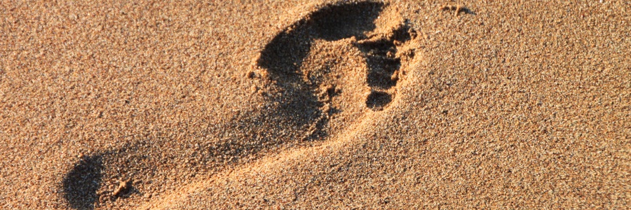 Read more about the article Foundations of Leadership: #1